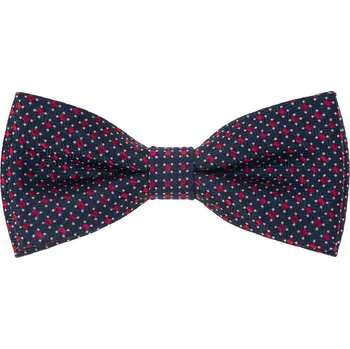 Motýlek Avantgard Motýlek s kapesníčkem, 575-22256, Modrá/červená