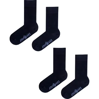 Pánské ponožky Avantgard Set Ponožky 2 páry, 778-05007, Modrá Velikost: 39/42