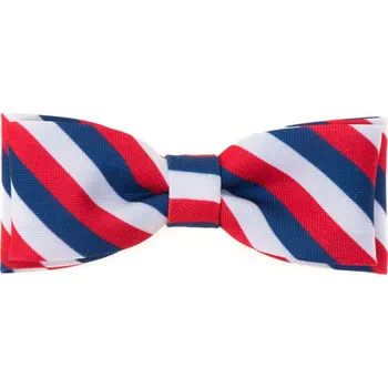 Avantgard Motýlek JUNIOR trikolóra, 576-111218, Bílá/červená/modrá