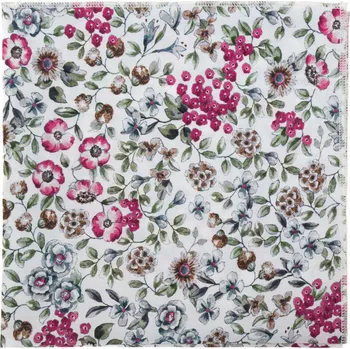 Kravata Avantgard Kapesníček do saka LUX, 583-51077, Bílá/eukalyptová