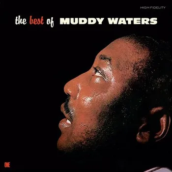 Zahraniční hudba LP Muddy Waters - The Best of Muddy Waters