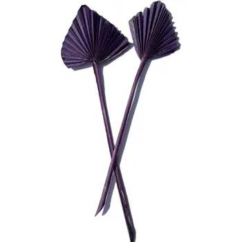 Palm spear col. Frosted FIALOVÁ