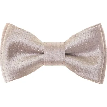 Chlapecká košile Avantgard Motýlek MINI pudrová/stříbrná 531-22309