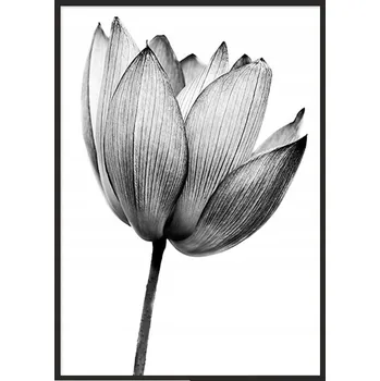 Obraz OBRAZ PLAKÁT V RÁMU 53x73 cm Květ P1038