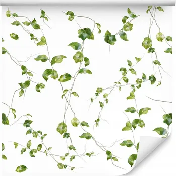 Fototapeta Tapeta do obýváku ložnice LISTY Rostliny Příroda