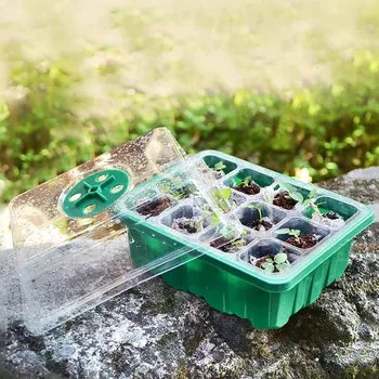 Zahradní dekorace Minipařeniště