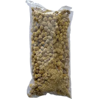 Casurina blanched 500 gr.