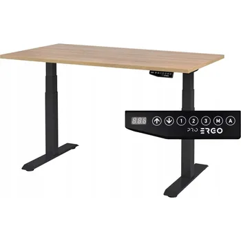 Psací stůl Obdélníkový psací stůl ProErgo 120 x 80 x 126 cm černý