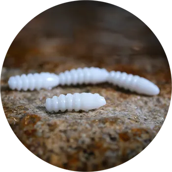 Umělá nástraha RedBass Gumová Nástraha Trout Grub White - 3x25 mm