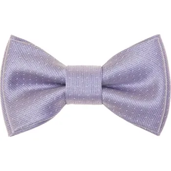 Chlapecká košile Avantgard Motýlek MINI lila 531-22317