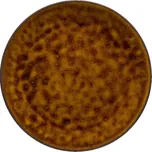 Hnědý kameninový podnos Costa Nova Roda, ⌀ 28 cm ID_1329882