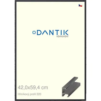 Rám na obraz DANTIK rámeček 42x59,4 | ALU profil 6220 Černá matná (Plexi Čiré) (Vyrobeno s láskou u nás v DANTIKU)