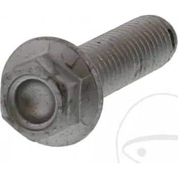 Šroub brzdového kotouče JMT 717.01.29 APRILIA Scarabeo 500 (Light) 2002-2005