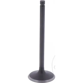 Sací ventil JMT (original spare part) 2H1130929