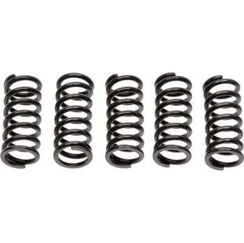 sada spojkových pružin (5 ks), Tourmax HSP-120-5