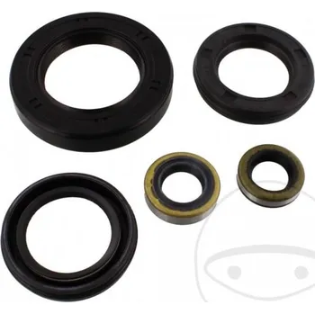 Brzda pro motocykl Opravná sada brzdového třmenu TOURMAX OST 0842 2H287641