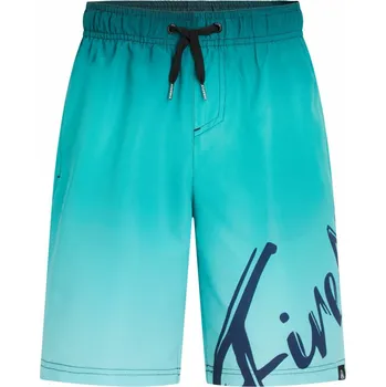Pánské plavky Firefly Lario B koupací kraťasy - 0 - azurová - 140