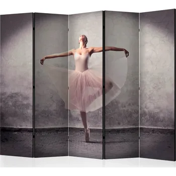 Paraván Paraván 5dílný - Balet - poezie beze slov II