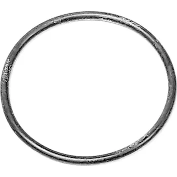 O-RING ?2.5X?43.5 924071