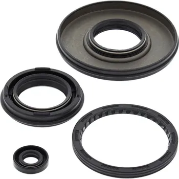 Těsnění motoru Sada gufer motoru WINDEROSA EOSK 55197 55197