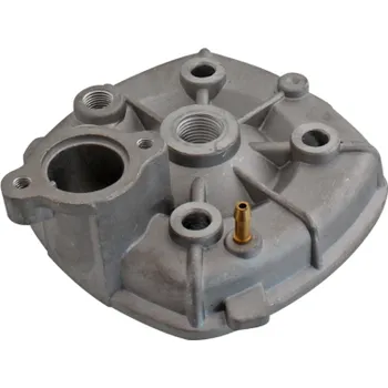 Motor automobilu Hlava válce RMS 100070022 100070022