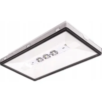 Nouzové osvětlení Nouzové svítidlo VELLA SC 600 NM 1H MT IP65 - 95024