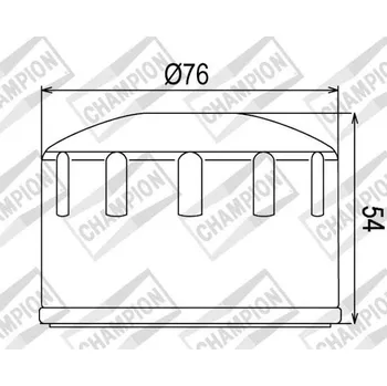 Filtr pro motocykl Olejový filtr CHAMPION COF064 100609555 BMW R 1200 S 2006-2008