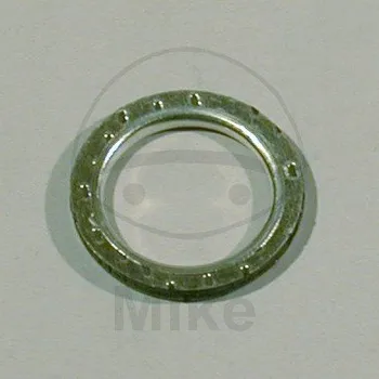 Autodíl Těsnění svodu výfuku ATHENA S410210012021 20X28X3 mm S410210012021