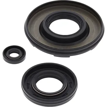 Těsnění motoru Sada gufer motoru WINDEROSA EOSK 55161 55161