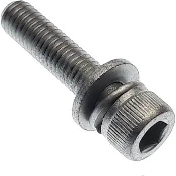 SPECIAL SCREW S96814