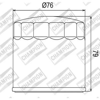 Filtr pro motocykl Olejový filtr CHAMPION COF063 100609135 BMW R 1150 GS Adventure 2002-2005