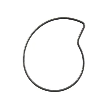 Těsnění motoru O-Ring water pump RMS 100690322 100690322