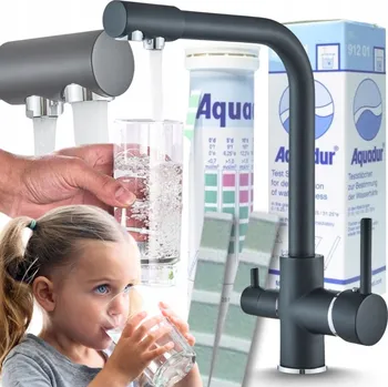 Vodovodní baterie Stojánková kuchyňská baterie Ari Venom černá, stříbrná, šedá