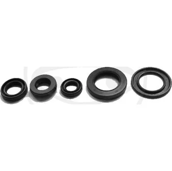 Těsnění motoru Sada gufer motoru TOURMAX 2H924789