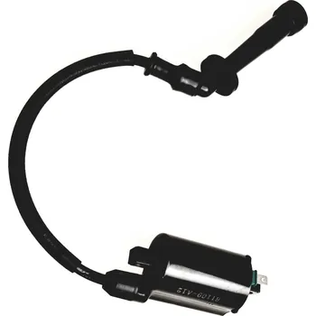 Ignition Coil Comp 61109-A12-100