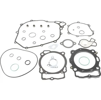 Těsnění motoru Sada těsnění motoru kompletní WINDEROSA CGK 808374 808374