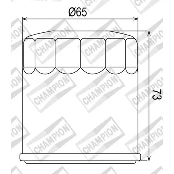 Filtr pro motocykl Olejový filtr CHAMPION COF077 100609745 BUELL XB12Ss 1200 Lightning Long 2006-2010