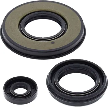 Těsnění motoru Sada gufer motoru WINDEROSA EOSK 55199 55199