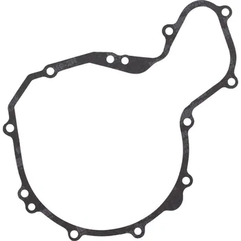 Těsnění motoru Těsnění víka zapalování WINDEROSA ICG 816134 816134