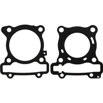 Automobilové těsnění Těsnění válce sada RMS 100681230 100681230