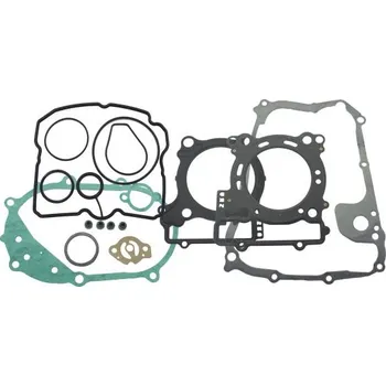 Těsnění motoru Těsnění motoru - sada RMS 100689861 100689861