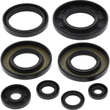 Těsnění motoru Sada gufer motoru WINDEROSA EOSK 822349 822349