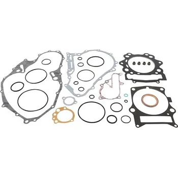 Těsnění motoru Sada těsnění motoru kompletní WINDEROSA CGK 808974 808974