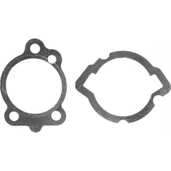 Automobilové těsnění Těsnění motoru - sada RMS 100689640 43 mm 100689640