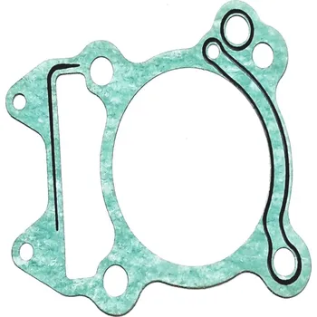 CYLINDER GASKET 923075