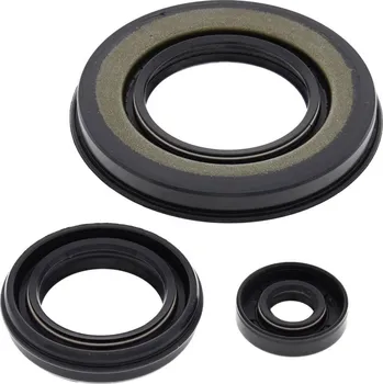 Těsnění motoru Sada gufer motoru WINDEROSA EOSK 55198 55198