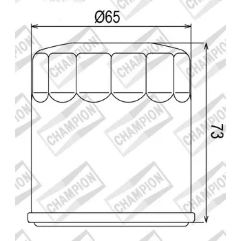 Filtr pro motocykl Olejový filtr CHAMPION COF077 100609745 BUELL XB12R 1200 Firebolt 2004-2007