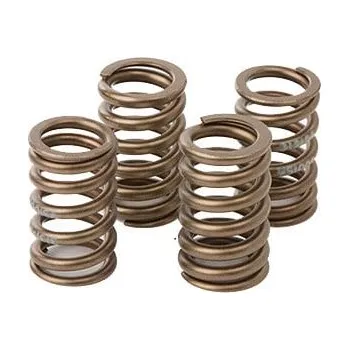 Sada ventilových pružin HOT CAMS SKYFM660S2 YAMAHA YFM 660 Raptor 2001-2005