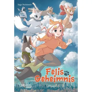 Komiks pro dospělé Felis Geheimnis - Steinmetz, Inga
