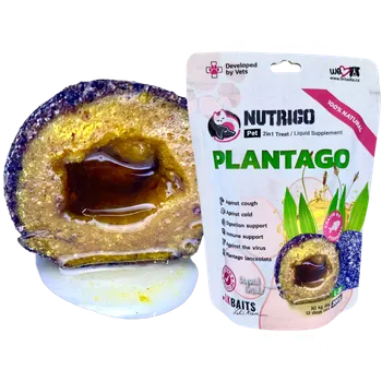 LK Baits Pet Nutrigo Dog Supplement Plantago Sirup,L-XL,200g